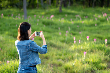 Young woman enjoying taking photo of pink flower field in Thailand