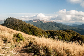 Obraz premium autumn on Polonina Carynska in Bieszczady mountains in Poland
