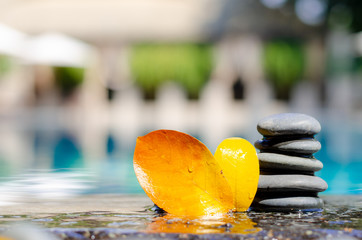 stones has set up to be a stone lines next and orange leaf to water, stone lines,stone used in spa,select focus