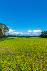 岩手県北上市金ヶ崎町