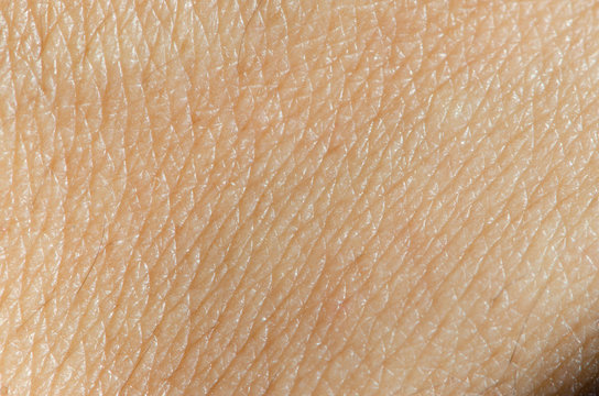 Human skin texture,macro view.