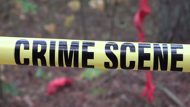 A sex offender (sexual offender, sex abuser, or sexual abuser) is a person who has committed a sex crime. 