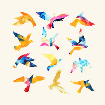 Artistic watercolor flying bird silhouettes filled with marbling textures, fluid bright colors, isolated on white background
