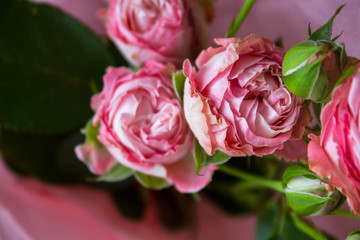 Obraz premium a bouquet of roses in a vase