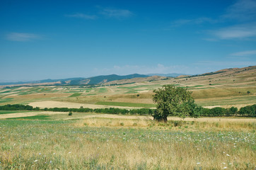 Mountain road