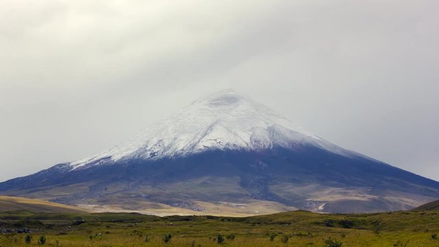 Cotopaxi Volcano time-lapse. Emerging from the mist after a fresh snowfall. A group of cattle  in the distance. The second highest mountain in Ecuador, 5897m.