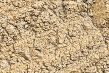 Natural brown rock texture eroded by the water