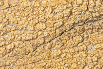 Natural brown rock texture eroded by the water