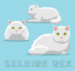 Cat Selkirk Rex Cartoon Vector Illustration