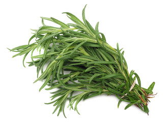 rosemary branch isolated on white background.