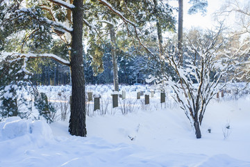 スウェーデン　森の墓地
