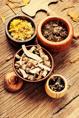 Medicinal, healing herbs