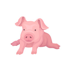 Obraz na płótnie Canvas Adorable pink piglet lying isolated on white background. Domestic animal with big ears and cute snout. Vector design
