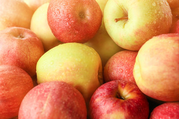 Many ripe juicy apples with water drops