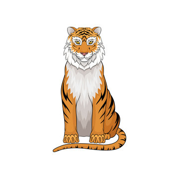 Vector portrait of sitting tiger. Wild predatory animal. Large cat with orange fur and black stripes, big claws and long tail