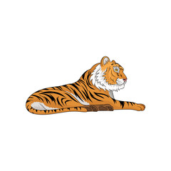 Vector illustration of adult tiger laying isolated on white background. Large wild animal with orange fur and black stripes