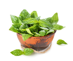 Bowl with fresh green basil on white background