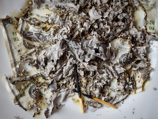 ashes from the burned dollars and their underburned remains on a white plate