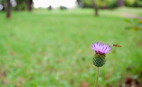 近寄る Images – Browse 281 Stock Photos, Vectors, and Video | Adobe Stock