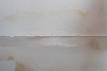 Moldy, Water-Damaged Ceiling
