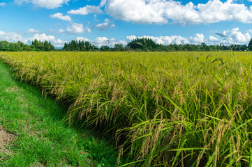 岩手県北上市金ヶ崎町