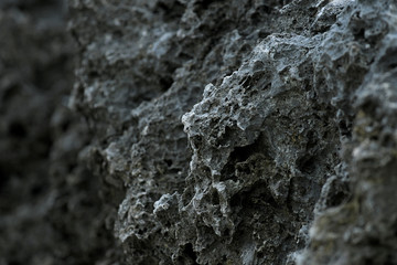coral reef and rock pattern