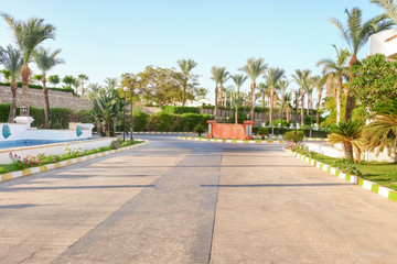 Fototapeta premium View of city street with tropical plants