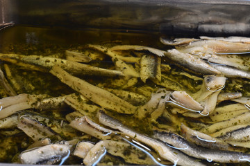 Frozen fish at the market.