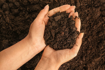 Woman holding soil, top view