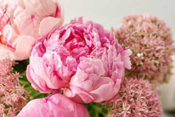 Beautiful pink peony flowers on light background, closeup