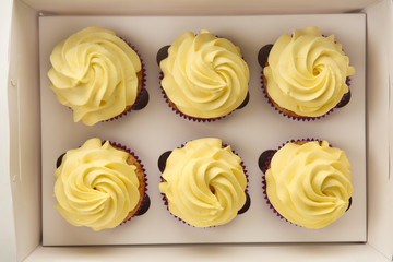 Delicious lemon cupcakes in box, top view
