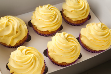 Delicious lemon cupcakes in box, closeup