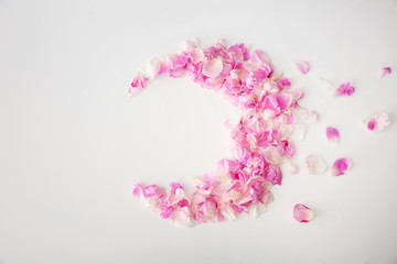 Half-moon made of flower petals on light background