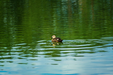 岩手県北上市金ヶ崎町