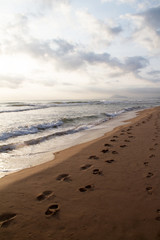 Footprints on the sand