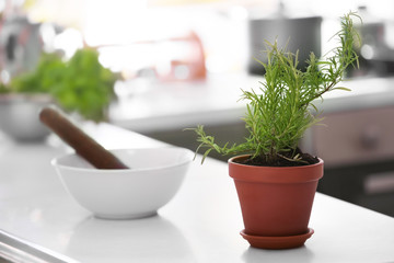 Pot with fresh rosemary on white table in kitchen