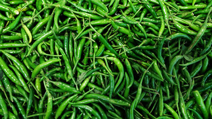 Green Chilies Background,Selective focus. Hot chili peppers pattern texture background.