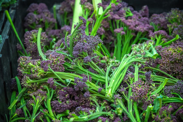 Fresh purple sprouting broccoli on display at Broadway Market in Hackney, East London