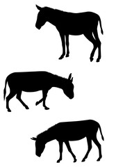 donkeys silhouettes set - vector