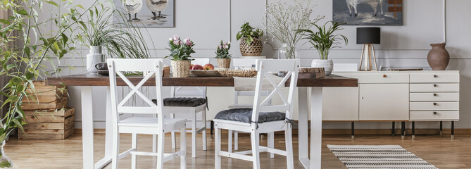 Panorama of white chairs at wooden table in dining room interior with cupboard and flowers. Real...