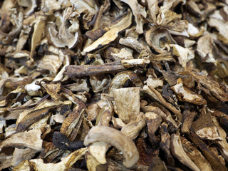 dry mushroom