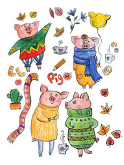 Collection of pigs, pigs in clothes. Pig - a symbol of the 2019 new year horoscope