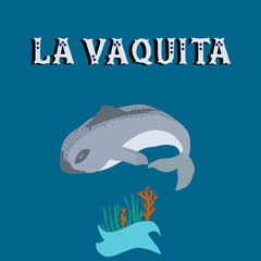 vaquita marina blue whale sealife  vector illustration