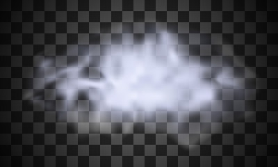 Realistic isolated cloud on the transparent background