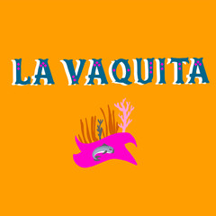 vaquita marina blue whale sealife  vector illustration