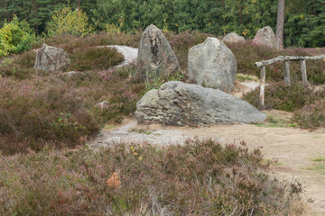 Oldendorfer Totenstatt in der Lüneburger Heide