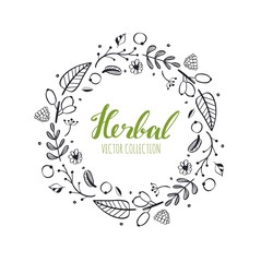 Rustic vector decorative plants and flowers wreath 2