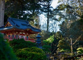 Obraz premium Japanese Tea Garden - San Francisco - 2018