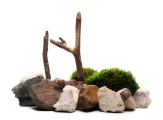 Green moss with decorative twigs and rocks isolated on white background