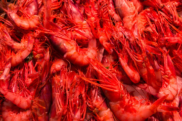 Red shrimps (prawns) background texture photo